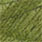 06 olive