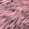 grizzly shell pink