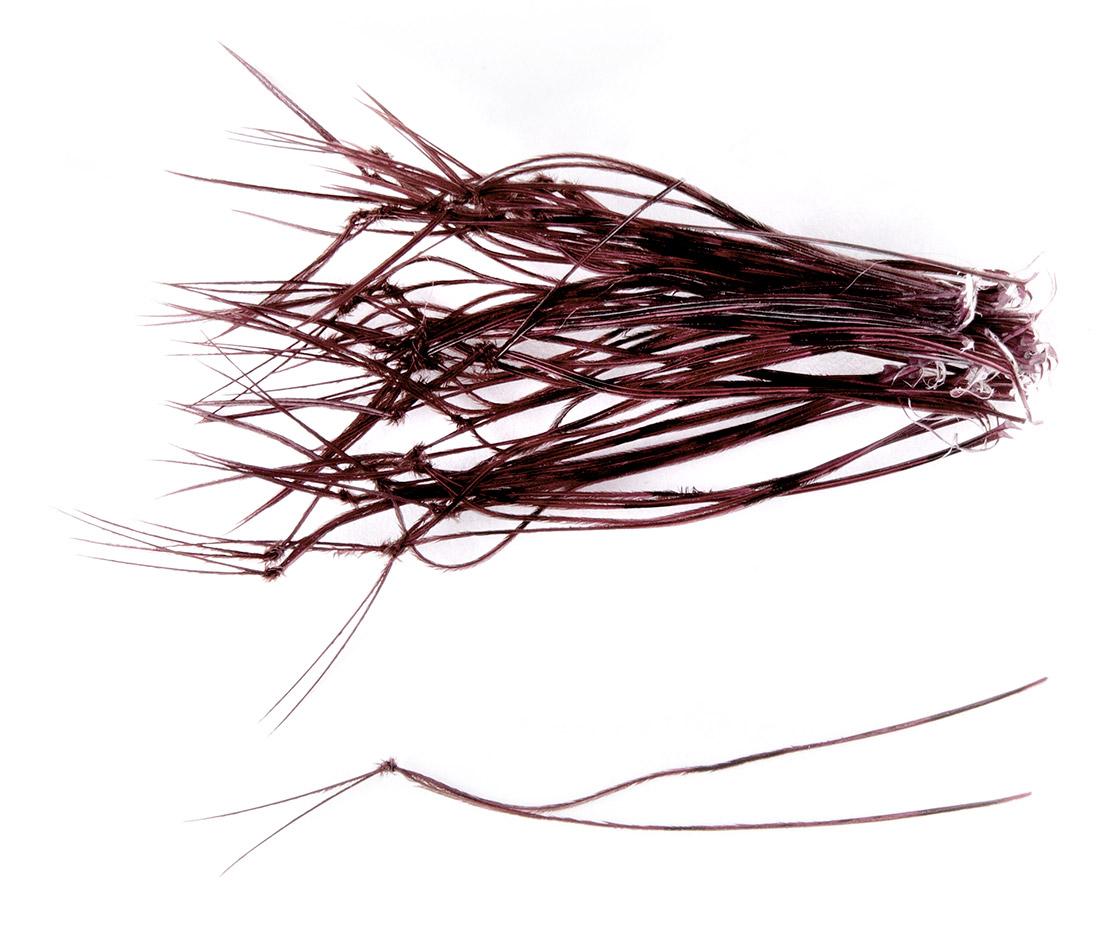 dyed claret