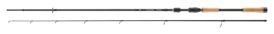 Daiwa Caldia Spin Seatrout Spinnrute