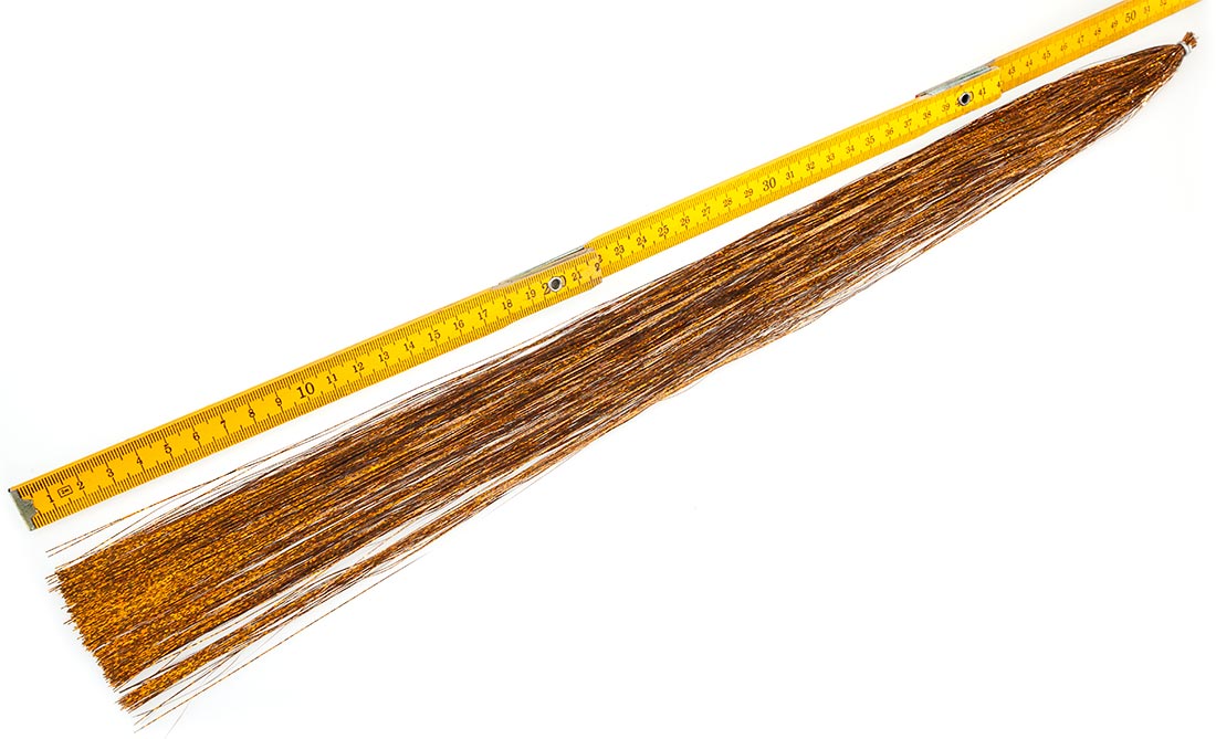 Hedron_flashabou_predator_long