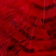 red/black