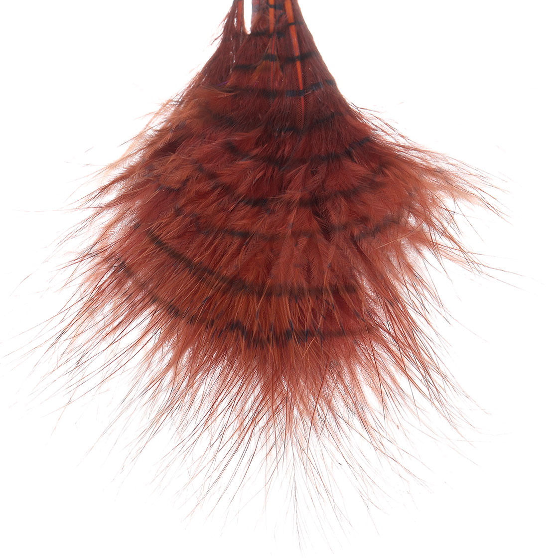 P-27560_MFC-Fine-Barred-Marabou-Grizzly-Fine-Marabou-Federn_brown-black brown/barred black