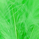fluo chartreuse