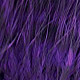 purple/barred black