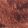 braun