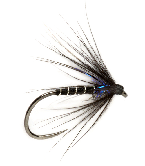 Fulling Mill Nassfliege - Procter Ice Thorax Black Spider Barbless