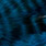 kingfisher blue