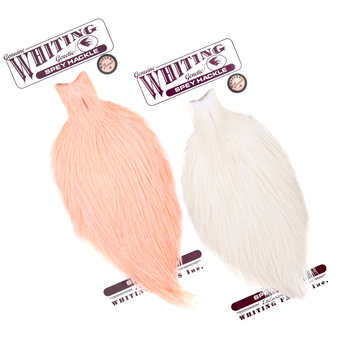 P-25386_Whiting-Bronze-Spey-Hackle-Cape