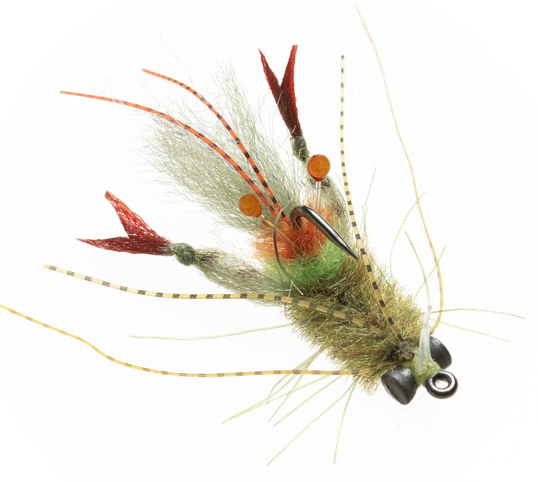 Enrico Puglisi EP® SCAMPI SHRIMP - GRASS - #2