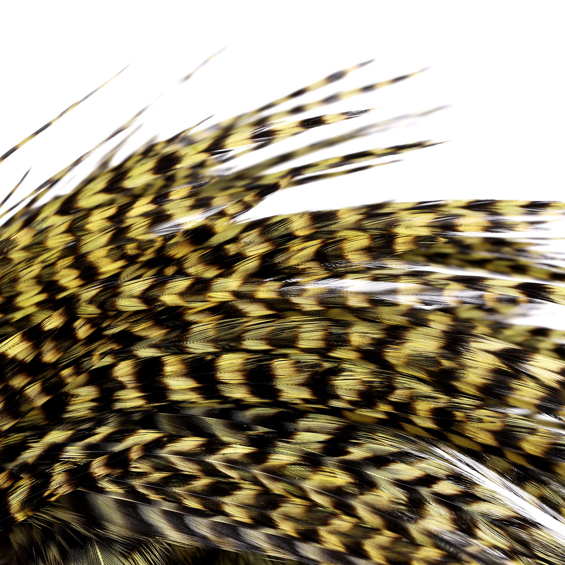 P-25419_Whiting-Bronze-Cape_detail_3