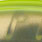 chartreuse back pearl
