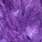 white dyed purple