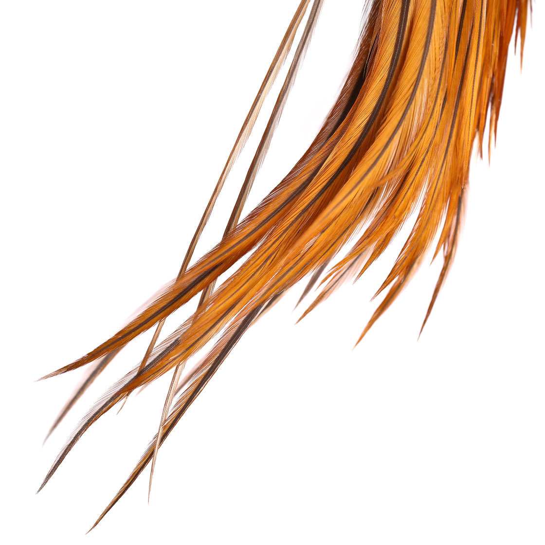 P-25397_Whiting-Introductory-Hackle-Pack-Four-1_2-Capes_detail2