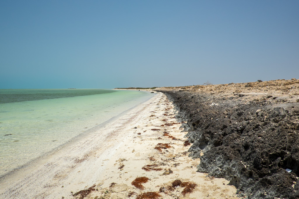 sudan2015-10 - Fliegenfischen auf den Nubischen Flats
