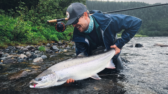 Predator & Salmon Star Flash Tubenfliegen