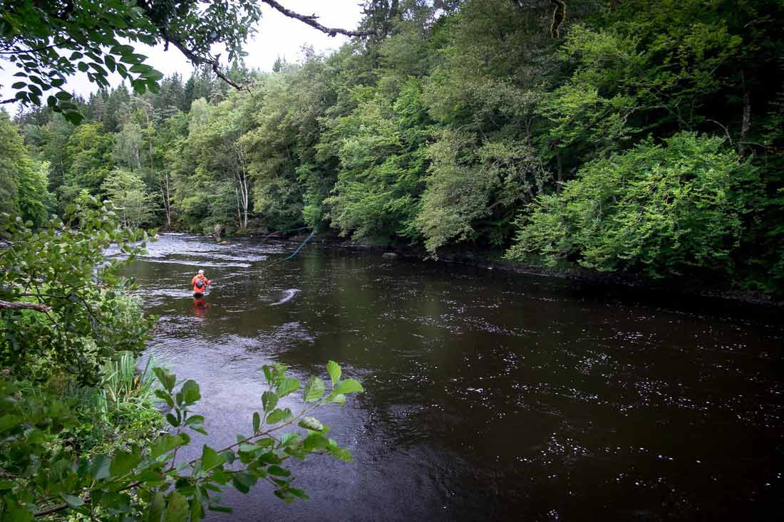 moerrum-trip-3 - Mörrum: Zwischen Fischern und Lachsen