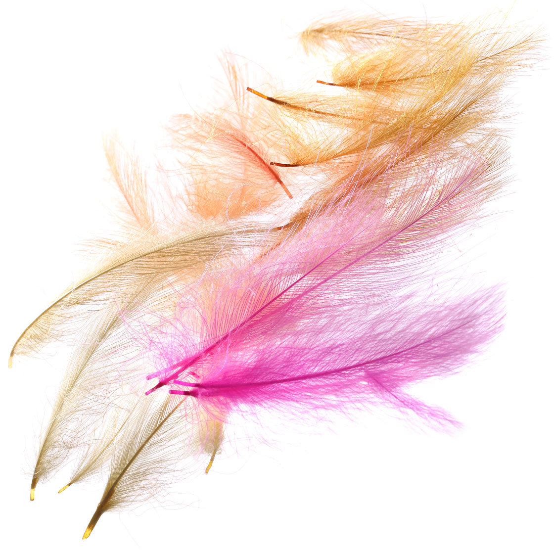 P-03366_Hends-CDC-selected_titel-neu