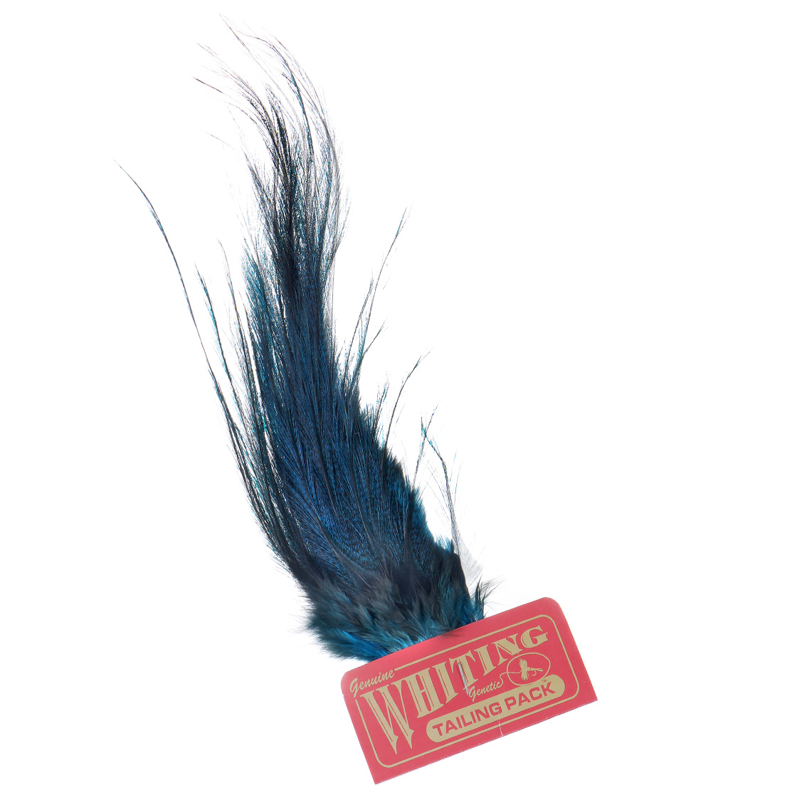 pardo kingfisher blue