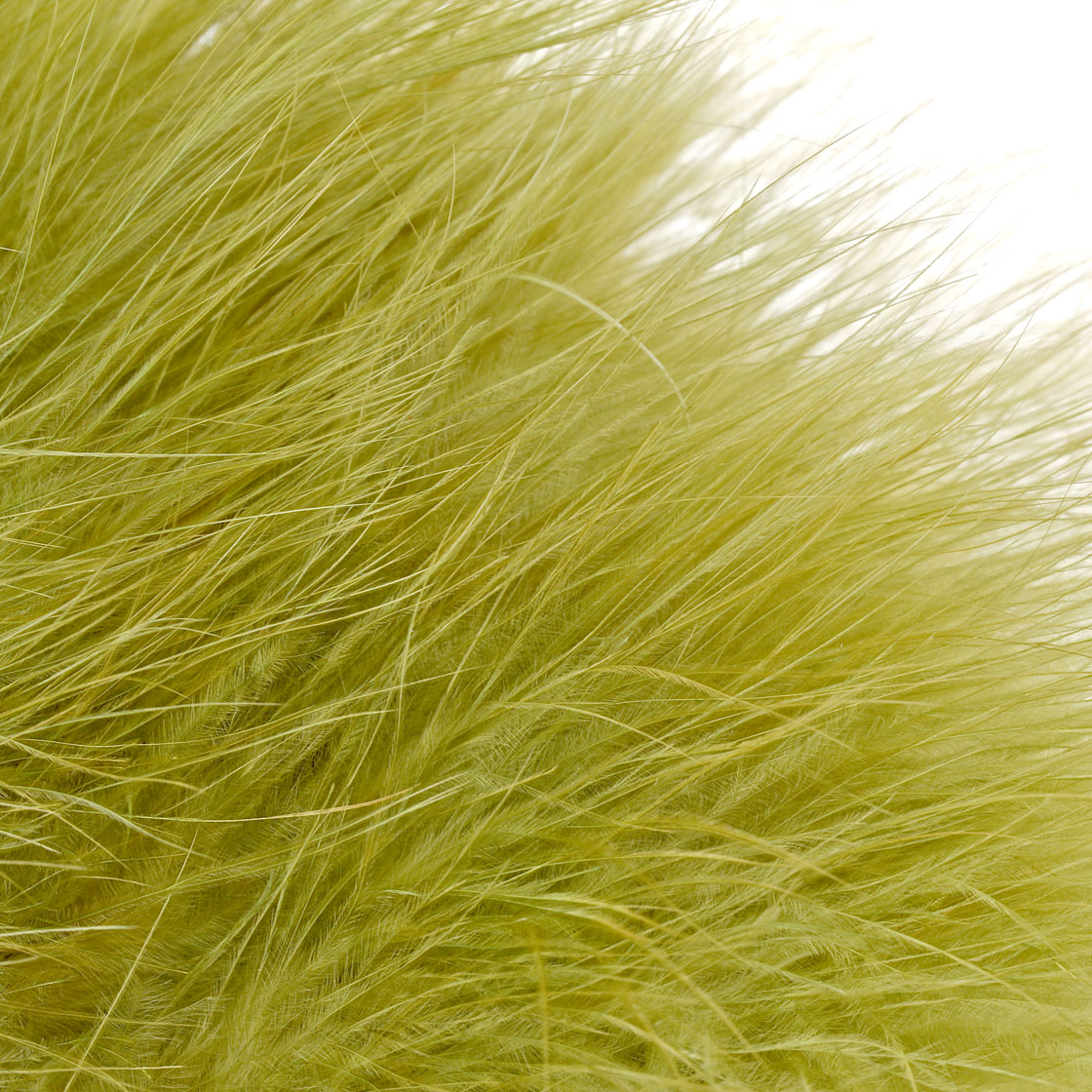 P-25406_Whiting-Super-Bou_detail