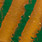 green/pumpkin SFCN434