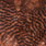 grizzly dyed brown