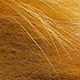lion yellow light/dark