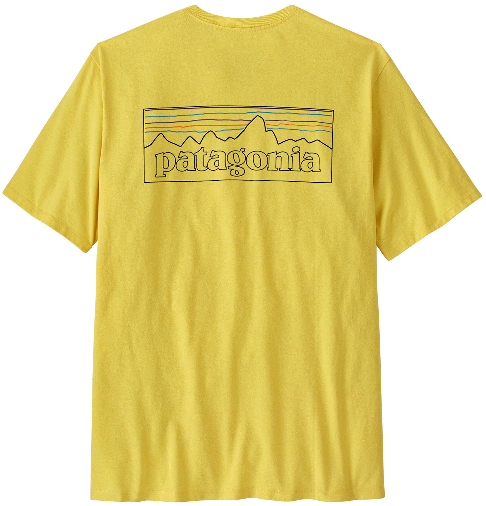 Patagonia P-6 Logo Responsibili-Tee POLM