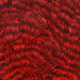 grizzly red