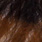 olive-brown-black
