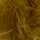 dark brown olive
