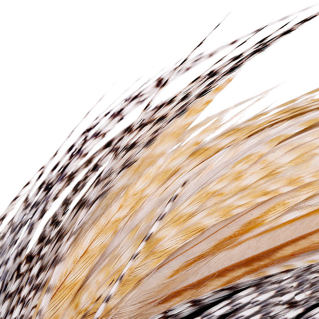 P-07075_Whiting-Dry-Fly-Hackle-Cape-Bronze-ganz-oder-halb_detail__