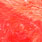 fluo coral