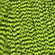 grizzly - fluo chartreuse