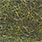 dark olive