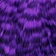 grizzly dyed purple