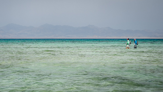 Fliegenfischen auf den Nubischen Flats Fliegenfischen auf den Nubischen Flats