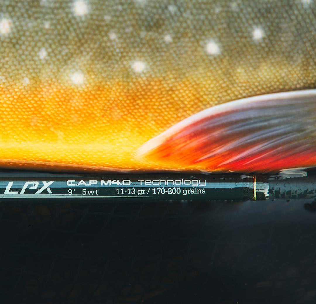 Guideline_LPX_Tactical_Promo_1