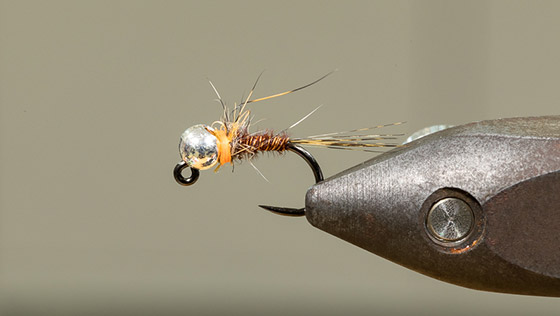 Bindevideo Hot Spot Pheasant Tail Jig mit Alexander Keus