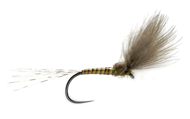 hareline-body-quill-5 Bindebeispiel