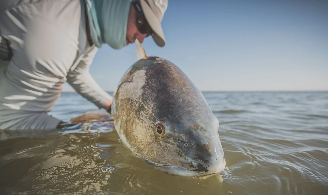 P-25694_Cortland_Cold_Redfish_Fliegenschnur_3