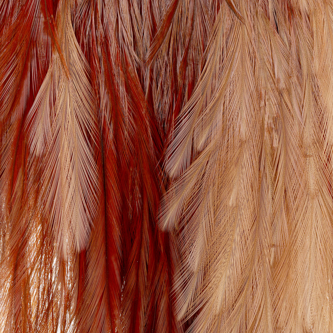 P-22281_rooster_saddle_detail