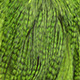 grizzly dyed fluo green chartreuse