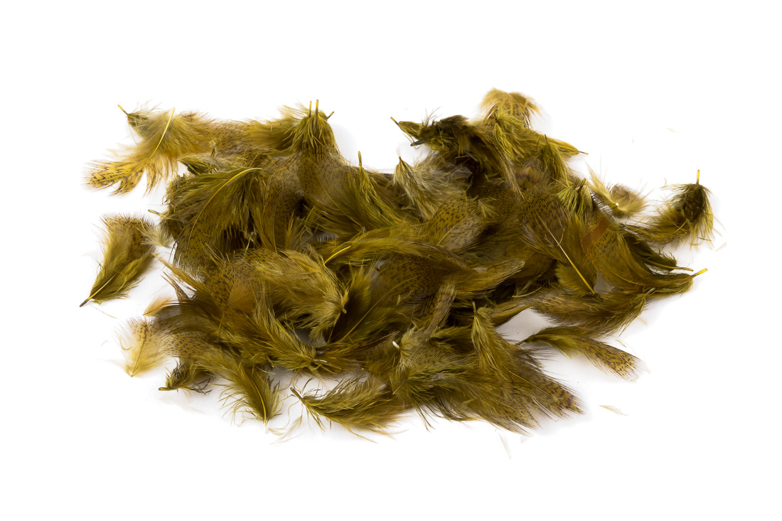 dyed olive