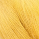 brown trout yellow
