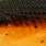 uv craw