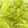 22 pale olive