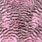 grizzly dyed shell pink