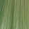 20 light green