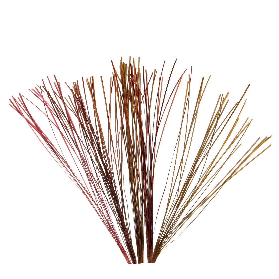 Fulling Mill Stripped Quills